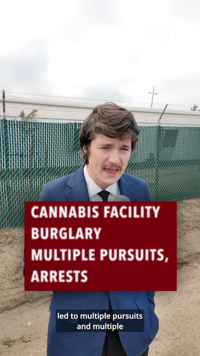 Cannabis Greenhouse Burglary Leads to Pursuits