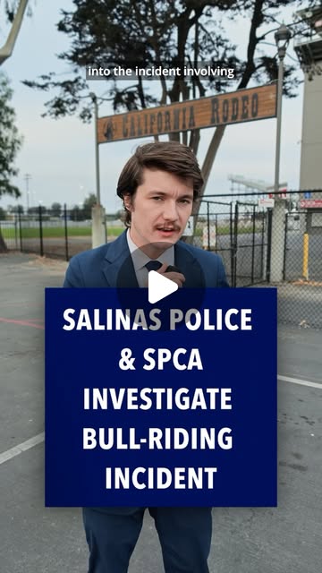 Salinas police investigate bull treatment allegations